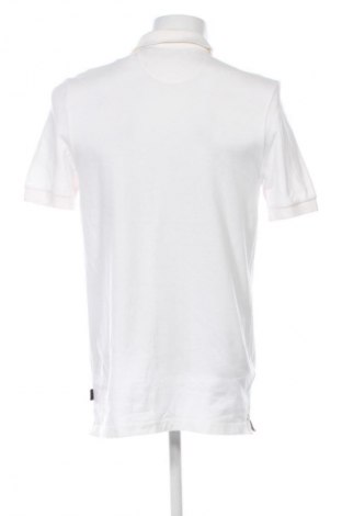 Herren T-Shirt Chaps, Größe S, Farbe Mehrfarbig, Preis € 6,99