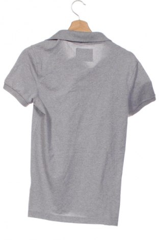 Herren T-Shirt Hollister, Größe XS, Farbe Grau, Preis 18,99 €