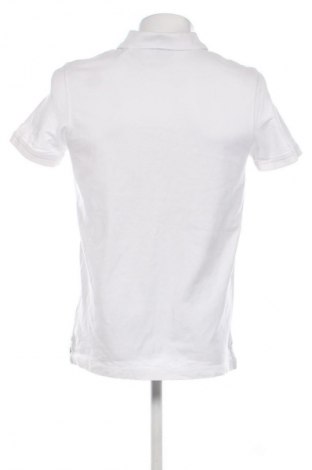 Tricou de bărbați McNeal, Mărime M, Culoare Alb, Preț 50,00 Lei