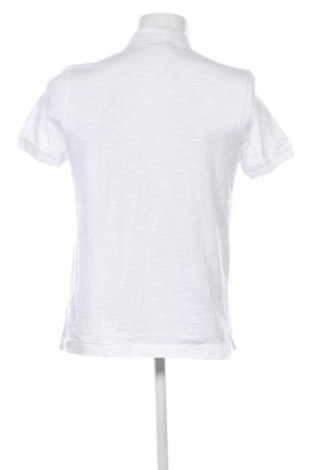 Herren T-Shirt S.Oliver, Größe L, Farbe Mehrfarbig, Preis € 10,23