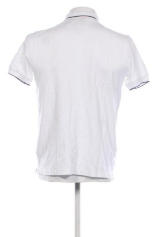 Herren T-Shirt SUN68, Größe L, Farbe Weiß, Preis € 28,12