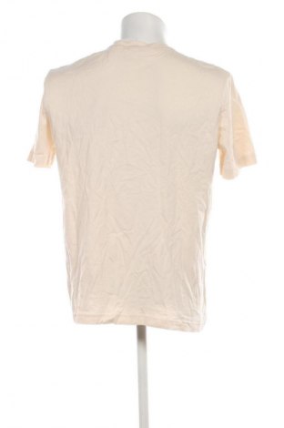 Herren T-Shirt Tom Tailor, Größe XL, Farbe Beige, Preis € 23,99