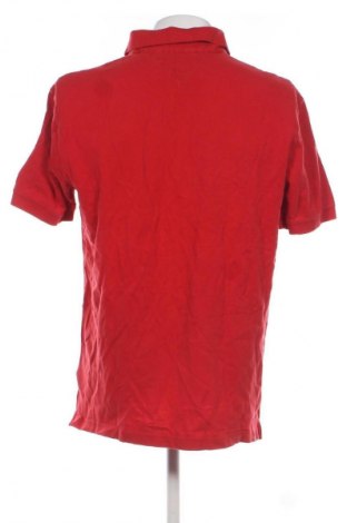 Herren T-Shirt Tommy Hilfiger, Größe XXL, Farbe Rot, Preis € 51,99