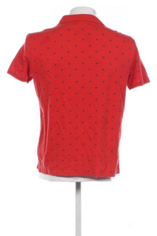 Herren T-Shirt U.S. Polo Assn., Größe L, Farbe Mehrfarbig, Preis 16,99 €