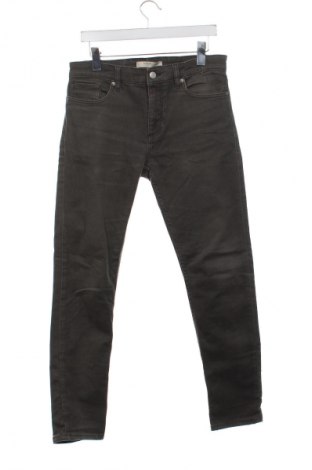 Herren Jeans Mango, Größe S, Farbe Grün, Preis 11,99 €
