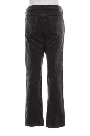 Herren Jeans Pioneer, Größe M, Farbe Grau, Preis 13,99 €
