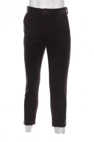 Herren Cordhose Zara, Größe S, Farbe Schwarz, Preis 13,81 €