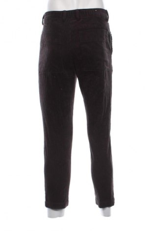 Herren Cordhose Zara, Größe S, Farbe Schwarz, Preis 13,81 €