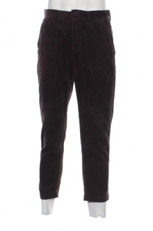 Herren Cordhose Zara, Größe S, Farbe Schwarz, Preis 13,81 €
