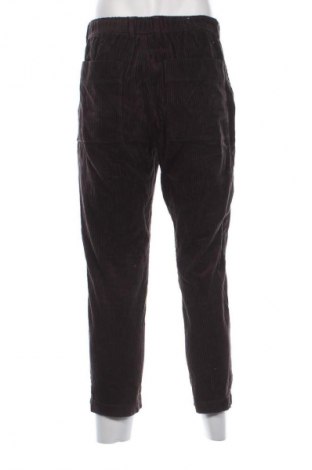 Herren Cordhose Zara, Größe S, Farbe Schwarz, Preis 13,81 €