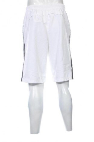 Herren Shorts Adidas, Größe M, Farbe Weiß, Preis 23,99 €
