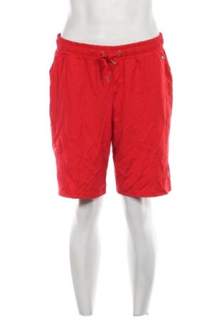 Herren Shorts Sheego, Größe M, Farbe Rot, Preis 11,99 €