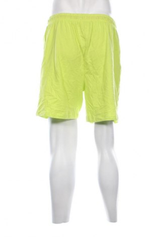 Herren Shorts Sinsay, Größe S, Farbe Grün, Preis 11,99 €
