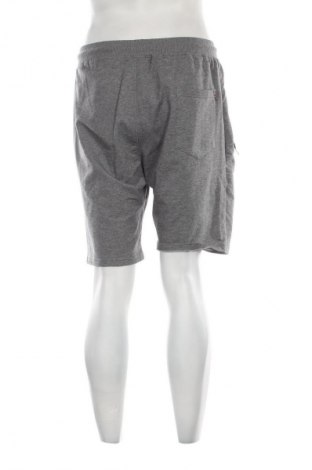 Herren Shorts Unbranded, Größe L, Farbe Grau, Preis 10,00 €