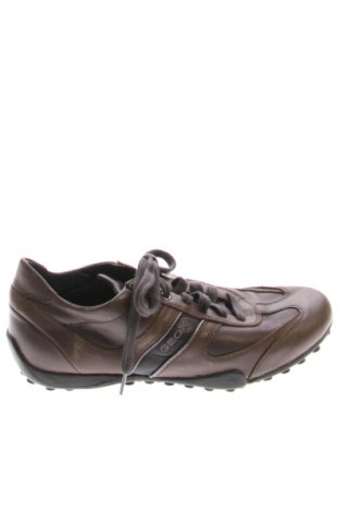 Herrenschuhe Geox, Größe 40, Farbe Braun, Preis € 134,99