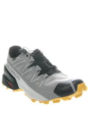 Pánske topánky Salomon, Veľkosť 46, Farba Viacfarebná, Cena  57,95 €