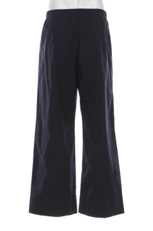Herrenhose Arket, Größe S, Farbe Blau, Preis € 35,00