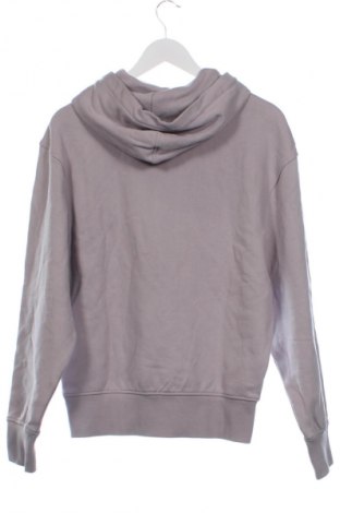 Herren Sweatshirt Calvin Klein Jeans, Größe XS, Farbe Aschrosa, Preis 79,99 €