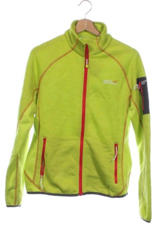 Bluză trening de bărbați Regatta, Mărime XS, Culoare Verde, Preț 117,99 Lei