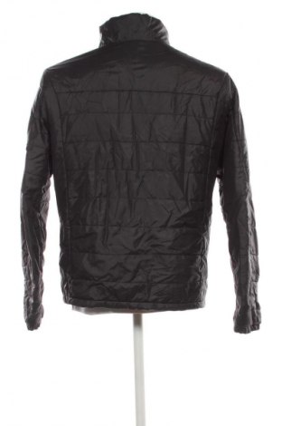 Herrenjacke Adidas, Größe M, Farbe Mehrfarbig, Preis € 59,99