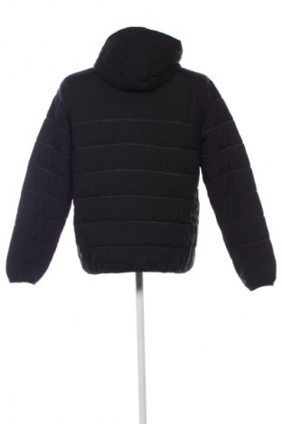 Herrenjacke Castore, Größe L, Farbe Schwarz, Preis € 112,99