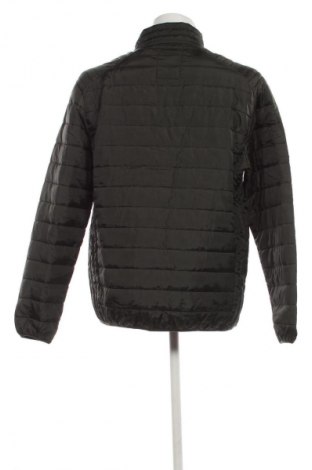 Herrenjacke Identic, Größe XL, Farbe Grün, Preis € 21,99
