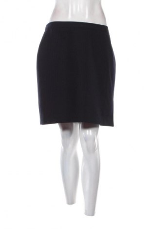 Sukňa Dorothy Perkins, Veľkosť L, Farba Viacfarebná, Cena  11,95 €