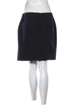 Sukňa Dorothy Perkins, Veľkosť L, Farba Viacfarebná, Cena  11,95 €