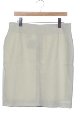 Φούστα Unbranded, Μέγεθος XL, Χρώμα Πολύχρωμο, Τιμή 10,00 €