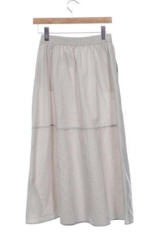 Φούστα Zara, Μέγεθος XS, Χρώμα Γκρί, Τιμή 13,82 €