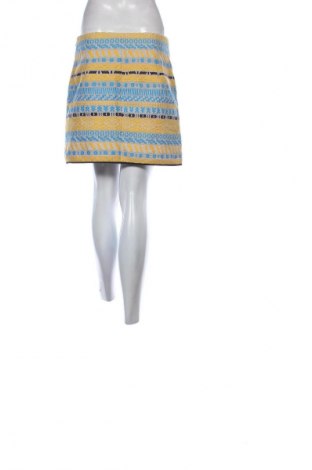 Fustă Zara, Mărime L, Culoare Multicolor, Preț 52,63 Lei