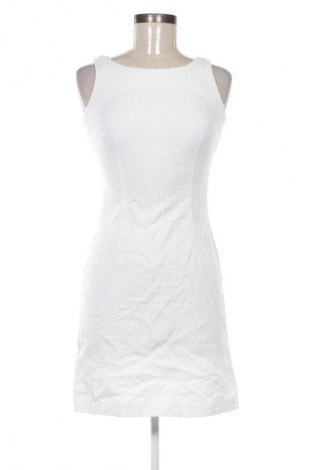 Sukienka Daphne, Rozmiar XS, Kolor Biały, Cena 88,99 zł