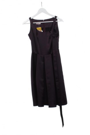 Kleid Daphne, Größe S, Farbe Lila, Preis € 45,98