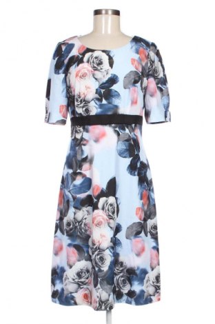 Kleid Debenhams, Größe M, Farbe Mehrfarbig, Preis 27,70 €