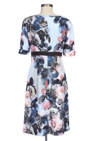 Kleid Debenhams, Größe M, Farbe Mehrfarbig, Preis 27,70 €
