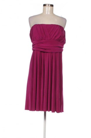 Kleid Dorothy Perkins, Größe XL, Farbe Lila, Preis € 13,82