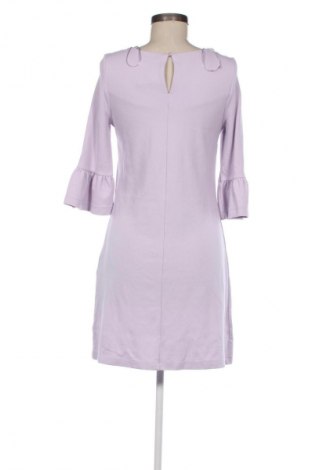 Kleid Orsay, Größe S, Farbe Lila, Preis 15,00 €