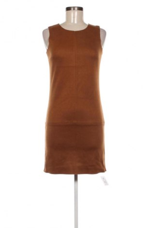 Sukienka Promod, Rozmiar XS, Kolor Brązowy, Cena 59,99 zł
