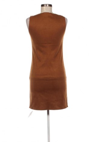 Sukienka Promod, Rozmiar XS, Kolor Brązowy, Cena 59,99 zł
