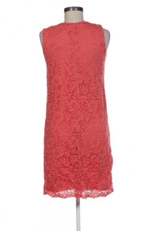 Kleid Uniqlo, Größe S, Farbe Rot, Preis 24,49 €