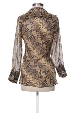 Kleid Zara, Größe XS, Farbe Mehrfarbig, Preis 13,80 €