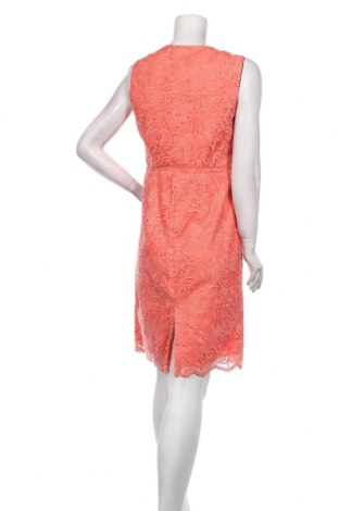 Kleid Per Una By Marks & Spencer, Größe M, Farbe Rosa, Preis 33,40 €