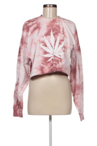 Γυναικεία μπλούζα Tally Weijl, Μέγεθος XS, Χρώμα Πολύχρωμο, Τιμή 3,53 €