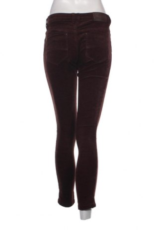 Pantaloni de velvet de femei Amici, Mărime S, Culoare Maro, Preț 12,40 Lei