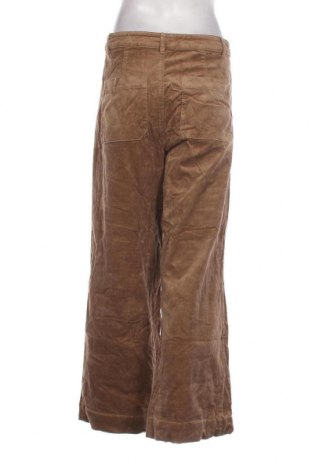 Damen Cordhose Springfield, Größe M, Farbe Beige, Preis 3,67 €