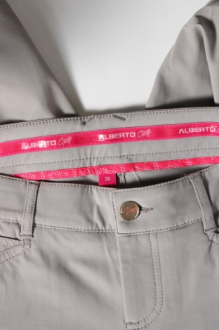 Γυναικείο κοντό παντελόνι Alberto, Μέγεθος M, Χρώμα Γκρί, Τιμή 4,21 €