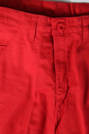 Damenhose, Größe XS, Farbe Rot, Preis 4,74 €