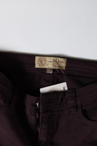 Pantaloni de femei Fat Face, Mărime M, Culoare Mov, Preț 14,51 Lei