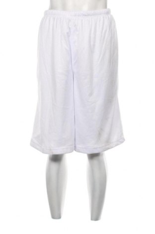 Ανδρικό κοντό παντελόνι, Μέγεθος XL, Χρώμα Λευκό, Τιμή 3,52 €