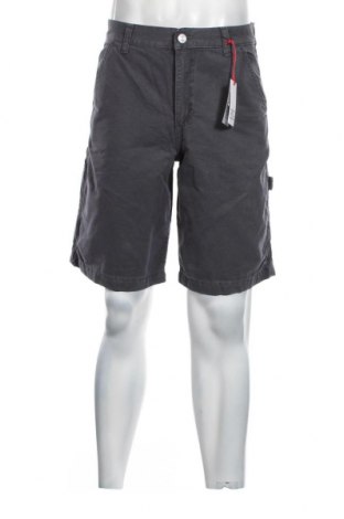 Pantaloni scurți de bărbați BDG, Mărime M, Culoare Gri, Preț 30,53 Lei
